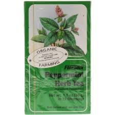 Floradix Organic Peppermint Herbal Tea 15 Bags