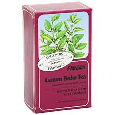 Floradix Organic Lemon Balm Herbal Tea 15 Bags